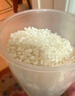 老娘舅大米 2025年新米 香稻米 10斤 珍珠米 粳米 实拍图