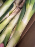 【东东买菜】正宗精品山东铁杆大葱生鲜蔬菜批发绿葱长葱农家现挖 带皮去半叶净重5斤 实拍图