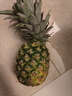 京鲜生 海南金钻凤梨  2个装 单果2斤起  生鲜水果 实拍图