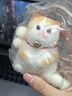 煦贝乐仿真猫咪捏捏乐毛绒解压玩具慢回弹卡通网红减压神器儿童节礼物 实拍图