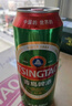 青岛啤酒（TsingTao）鲜活纯生 500ml*12听 整箱装 肖战同款 实拍图