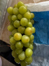 阳光葡萄青提晴王无籽葡萄新鲜水果爆甜 带箱5斤（单果15g+）净重4-4.5斤 实拍图