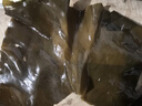 赶海弟 干海带头250g 长头根部昆布海带板片 火锅食材凉拌煲汤 海鲜干货 实拍图