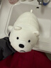 优羽咱们三只裸熊公仔软熊猫抱枕毛绒玩具床上陪睡女生七夕情人节礼物 Ice Bear白熊(趴姿) 28cm 实拍图