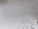 水星家纺枕头枕芯酒店枕头护颈枕头芯家用单个纯棉抗菌可水洗中枕48x74cm 实拍图