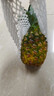 京鲜生 海南金钻凤梨  2个装 单果2斤起  生鲜水果 实拍图