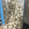 十月稻田 莲子 400g 湘潭产去芯磨皮白莲子 桂圆百合银耳羹煲汤食材 实拍图