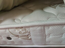 穗宝（SYMBOL）天然乳胶床垫整网弹簧护脊卧室床垫19cm 奥南1.8*2米软硬适中 实拍图