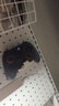盖世小鸡（GAMESIR）启明星2无线游戏手柄switch手柄 宏编程手机安卓苹果PC电脑steam蓝牙有线宝可梦za双人平板NS2pro 实拍图
