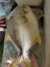 1号会员店（One's Member）甄选海南二去金鲳鱼去鳃去内脏生鲜鱼类 海鲜水产 700g/2条装 实拍图