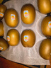 佳沛（zespri）新西兰  阳光金奇异果10粒礼盒巨大果单果约144-175g 水果 猕猴桃 实拍图