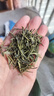福茗源茶叶绿茶 雀舌茶 明前2025新茶袋装100g毛峰翠芽湄潭春茶叶自己喝 实拍图