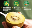 佳沛（zespri）新西兰 阳光金奇异果12粒礼盒特大果单果约122-146g 猕猴桃 水果 实拍图