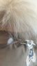 嬉皮狗（hipidog）秋冬季狗狗休闲风时尚拼接两脚棉衣泰迪猫咪加厚可牵引宠物狗衣服 多巴胺四脚羽绒-绿 M（建议体重5-8斤） 实拍图