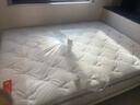 喜临门白骑士床垫政府补贴加厚进口乳胶护脊黄麻 独袋弹簧家用 白骑士plus【指定尺寸闪送】 1.5*2米（注意尺寸） 实拍图