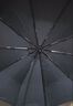 天堂 全自动雨伞三折 10骨加固一键开收易甩干简约晴雨伞 藏青 实拍图