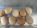 京鲜生柴鸡蛋30枚 3斤 无抗生素 谷物喂养鲜鸡蛋 源头直发 实拍图
