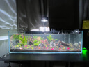 YEE鱼缸过滤器净水循环三合一低音水泵外置瀑布式壁挂制氧一体机15w 实拍图