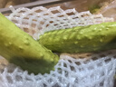京鲜生 海阳白玉黄瓜 净重3斤 生吃水果黄瓜 新鲜现摘减脂餐 源头直发 实拍图