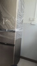 海尔冰箱家用三开门风冷无霜双开门超薄一新等级能效冰箱小型小冰箱制冰冷柜以旧换新冰箱补贴 219升三门节能微霜冰箱金色三门三温 实拍图