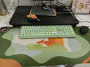 昕科加热鼠标垫办公室桌面电脑加热垫暖手宝电暖加热暖桌宝绿野仙踪 实拍图