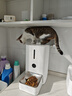 米家宠物智能喂食器2 小米猫咪喂食器+小米智能喂食器干燥盒套装 实拍图