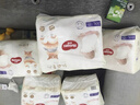 好奇（Huggies）软萌星人柯基裤拉拉裤XXL26片(15kg以上)尿不湿【软糯贴贴】 实拍图
