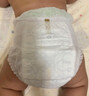 babycare金山茶花婴儿纸尿裤mini装NB34片(<5kg)新生儿尿不湿【新老混发】 实拍图