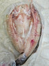 海名威宁德三去大黄鱼 对半厚切黄花鱼 净重700g/2片 海鲜水产 鱼类  实拍图