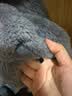 猫人睡衣男士法兰绒加绒加厚保暖珊瑚绒秋冬季新款家居服套装26年新款 【加绒加厚-双面暖绒】颜色一 L 【建议110-130斤】 实拍图