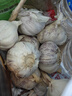 紫白皮蒜水果大蒜超市即食生鲜蔬菜大蒜 [活动]10头 200g 单果3.5-5cm 实拍图