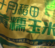 十月稻田 黄糯玉米 3.52斤(220g*8根) 25年新玉米 低脂 早餐零食 东北玉米 实拍图