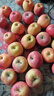 阿克苏苹果新疆阿克苏冰糖心苹果新鲜时令水果礼盒红富士丑苹果源头直发包邮 10斤特级果70-85mm 净重8.5斤以上 实拍图