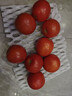【超市精选】山东沙瓤水果西红柿新鲜番茄蔬菜减肥单果100g起 西红柿中大果 2斤 带箱 实拍图