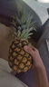 佳农 黑钻菠萝1粒装 菲律宾凤梨 净重2斤起 生鲜水果 源头直发 包邮 实拍图