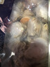 初鲜大号冷冻带黄扇贝肉净重2斤约80-120颗烧烤火锅食材海鲜水产送礼 实拍图