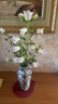 京东鲜花新中式陶瓷花瓶青花瓷客厅复古水养鲜花干花插花装饰摆件高级感 实拍图