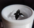 米家小米米家榨汁杯2 榨汁机小型便携 充电果汁机 家用打汁机 多功能碎冰料理机搅拌机 快速鲜榨 米家随行便携榨汁杯 2 实拍图