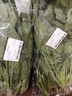 大菠菜300g 实拍图