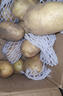 京喜加新鲜黄心土豆农家自种黄皮马铃薯黄心洋芋新鲜蔬菜 250g 实拍图