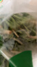 有机汇有机菠菜 绿叶青菜火锅菜有机蔬菜  有机认证农场种植 新鲜无农残 250g 实拍图