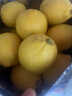 优味集进口新奇士柠檬【JD顺丰现货速发】新鲜南非黄柠檬生鲜水果整箱 2斤 商超级大果（单果120g+） 实拍图