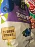 永富蓝莓干250g 独立包装 东北大兴安岭特产办公室健康零食 实拍图