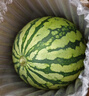 京鲜生 无籽麒麟大西瓜 1粒装 7-9斤 生鲜水果 实拍图