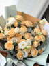 领香鲜花速递香槟玫瑰花束表白送女友老婆生日礼物全国同城配送 33朵香槟玫瑰花束—女神款 实拍图