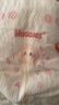 好奇（Huggies）铂金装小桃裤纸尿裤M144片(6-11kg)中号尿不湿【透爽散热】 实拍图