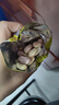 比比赞（BIBIZAN）烤花生五香味300g 红皮花生米油小包装休闲零食品下酒菜坚果炒货 实拍图