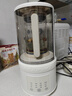 蓝宝（BLAUPUNKT）破壁机家用豆浆机全自动免煮2025新款静低音破壁机小型榨汁机婴儿米糊机磨粉机配研磨杯套装 实拍图