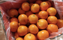 京鲜生 金秋砂糖橘/砂糖桔 2斤 生鲜水果  实拍图