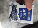 风行牛奶蓝莓风味牛奶饮品 200ml*24盒 风味牛奶量贩装团购 礼盒装送礼 实拍图